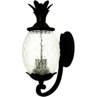 Lanai 3-Light Matte Black Wall Light