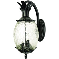 Lanai 3-Light Matte Black Wall Light