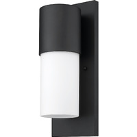 Contemporary Matte Black And White Wall Light