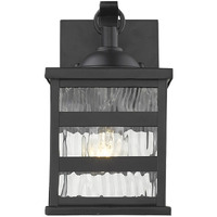 Glass Panel Matte Black Outdoor Cage Light