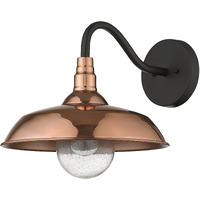 Burry 1-Light Copper Wall Light