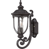 Black Cast Aluminum Glass Lantern Wall Light