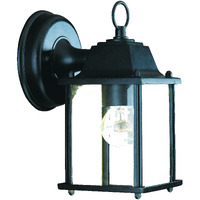 Matte Black Hanging Glass Lantern Wall Light