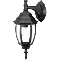 Matte Black Hanging Globe Lantern Wall Light