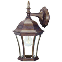 Dark Brown Hanging Carousel Lantern Wall Light