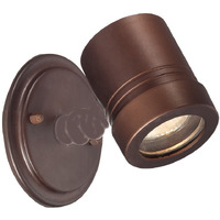 Antique Bronze Cylinder Wall Spotlight