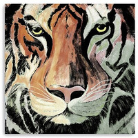 20"" Staring Tiger Portrait Canvas Wall Art