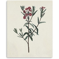 30"" Singular Red Blossom Branch Canvas Wall Art