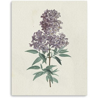 30"" Singular Purple Blossom Branch Canvas Wall Art