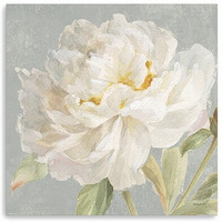 40"" Angelic White Peony Flower Canvas Wall Art