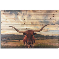 Longhorn Cow In Field Wood Plank Wall Art