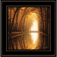 Lochem Reflections 2 Black Framed Print Wall Art