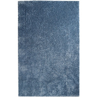 4' X 6' Blue Shag Stain Resistant Area Rug