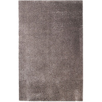 4' X 6' Taupe Shag Stain Resistant Area Rug