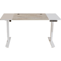 55 Adjustable White Standing Desk