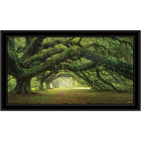 Passage 3 Black Framed Print Wall Art