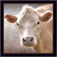 Up Close On The Farm Black Framed Print Wall Art