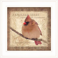 Female Cardinal 1 White Framed Print Wall Art