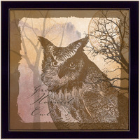 Owl 2 Black Framed Print Wall Art