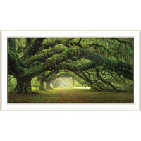 Passage 2 White Framed Print Wall Art