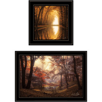 Set Of Two Natures Reflections 2 Black Framed Print Wall Art