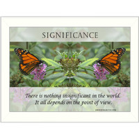 Significance 2 White Framed Print Wall Art