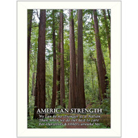 American Strength 2 White Framed Print Wall Art