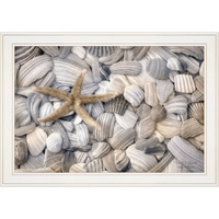 Starfish & Seashells 3 White Framed Print Wall Art