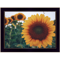Midwest Livin Ii 1 Black Framed Print Wall Art
