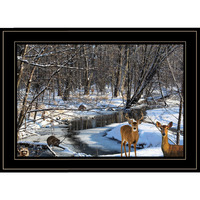 Great Outdoors Nature 2 Black Framed Print Wall Art