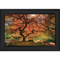 First Colors Of Fall I 2 Black Framed Print Wall Art