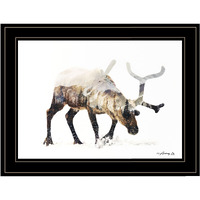 Arctic Reindeer 2 Black Framed Print Wall Art