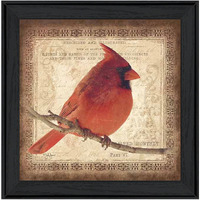 Male Cardinal 2 Black Framed Print Wall Art