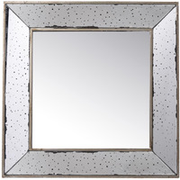 18""  Wall Mounted Vintage Style Glass Frame Accent Mirror