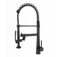 Pull Down Kitchen LED Sink Faucet with Sprayer(D0102H54Z68)