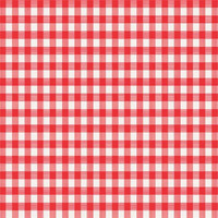 52 x 90 in. Red & White Checkered Plastic Tablecloth