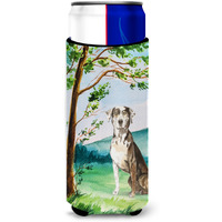 "Caroline's Treasures CK2576MUK Michelob Ultra Hugger for slim cans cold-beverage-koozies, Multicolor"