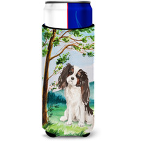 "Caroline's Treasures CK2001MUK Michelob Ultra Hugger for slim cans cold-beverage-koozies, Multicolor"