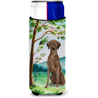 "Caroline's Treasures CK2021MUK Michelob Ultra Hugger for slim cans cold-beverage-koozies, Multicolor"