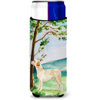 "Caroline's Treasures CK2008MUK Michelob Ultra Hugger for slim cans cold-beverage-koozies, Multicolor"