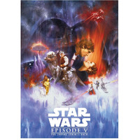 Star Wars The Empire Strikes Back 25 x 35 Inch Flat Magnet