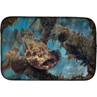 "Caroline's Treasures JMA2003DDM Golden Goliath Grouper dish-drying-mats, 14 x 21, Multicolor"
