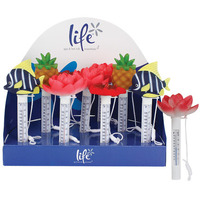 Life Spa Fun Design Floating Thermometer