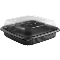 ANZ CDCS85321-HD Microraves Container  Black