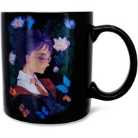 Harry Potter and Hermione granger Anime-Style ceramic Mug  Holds 20 Ounces