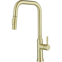 Noor Single Handle Pull Down Sprayer Kitchen Faucet in Brushed Gold