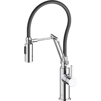 Leonardo Single Handle Pull Down Sprayer Kitchen Faucet in Chrome