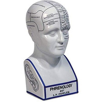 Phrenology Head