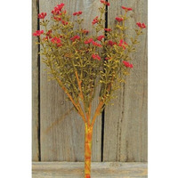 Red Fall Astilbe Bush, 10.5"