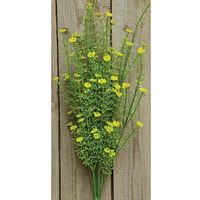 Yellow Astilbe Bush, 20"